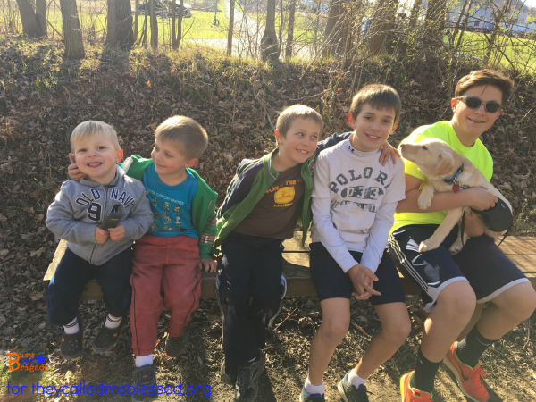Why We Love Homeschooling: Family Strength