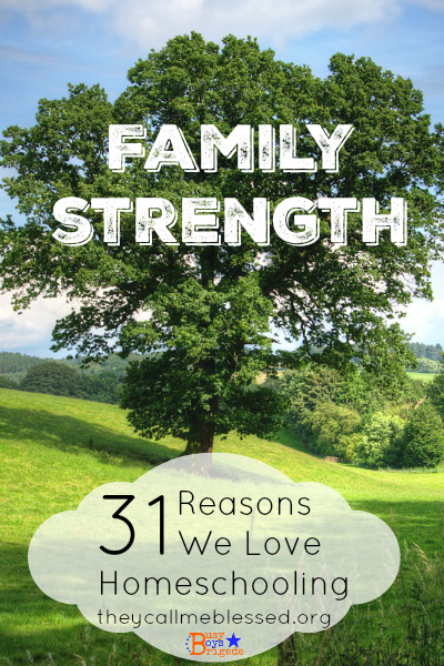 Why We Love Homeschooling: Family Strength
