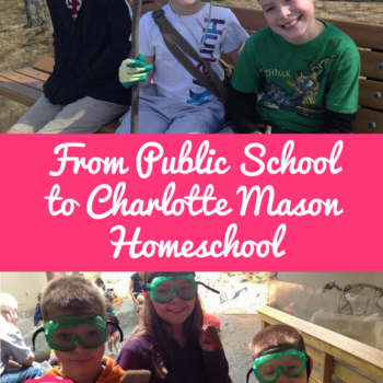 From Public School to Homeschool