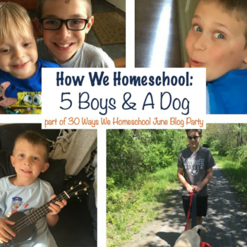 homeschool 5 boys