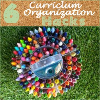 curriculum organization