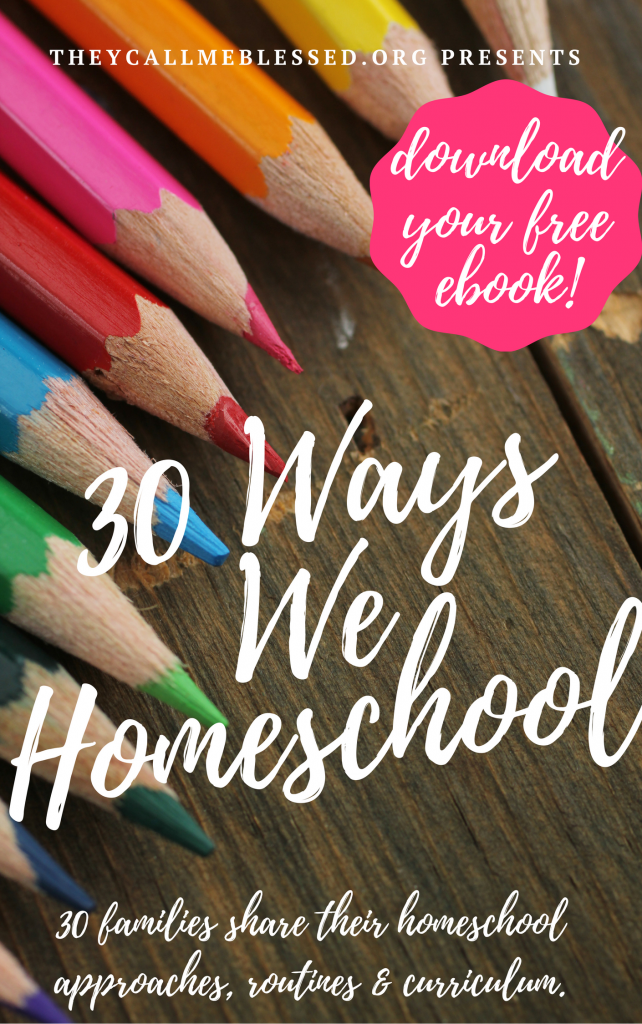 30 Ways We Homeschool eBook