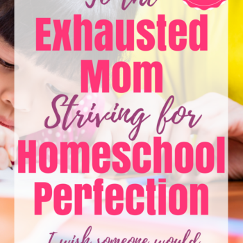 Homeschool perfection