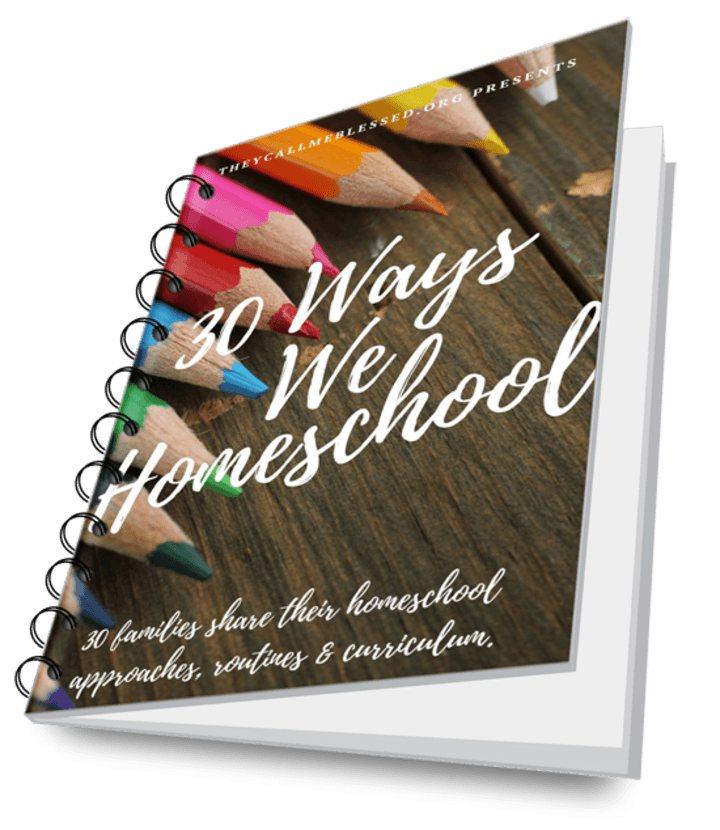 30 Ways We Homeschool eBook spiral 30 Ways We Homeschool eBook spiral