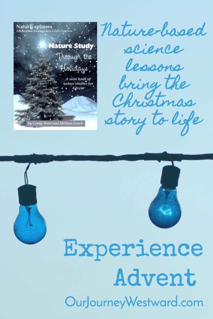 A Christ-centered Christmas: Keep Christ at the center of Christmas, and use these crafts to remind you that Jesus is the reason for the Christmas season | Christmas crafts | Christmas activities | Christmas homeschool resources | Christmas giveaway | Advent Devotional | Abraham's Advent A Christ-centered Christmas: Keep Christ at the center of Christmas, and use these crafts to remind you that Jesus is the reason for the Christmas season | Christmas crafts | Christmas activities | Christmas homeschool resources | Christmas giveaway | Advent Devotional | Abraham's Advent