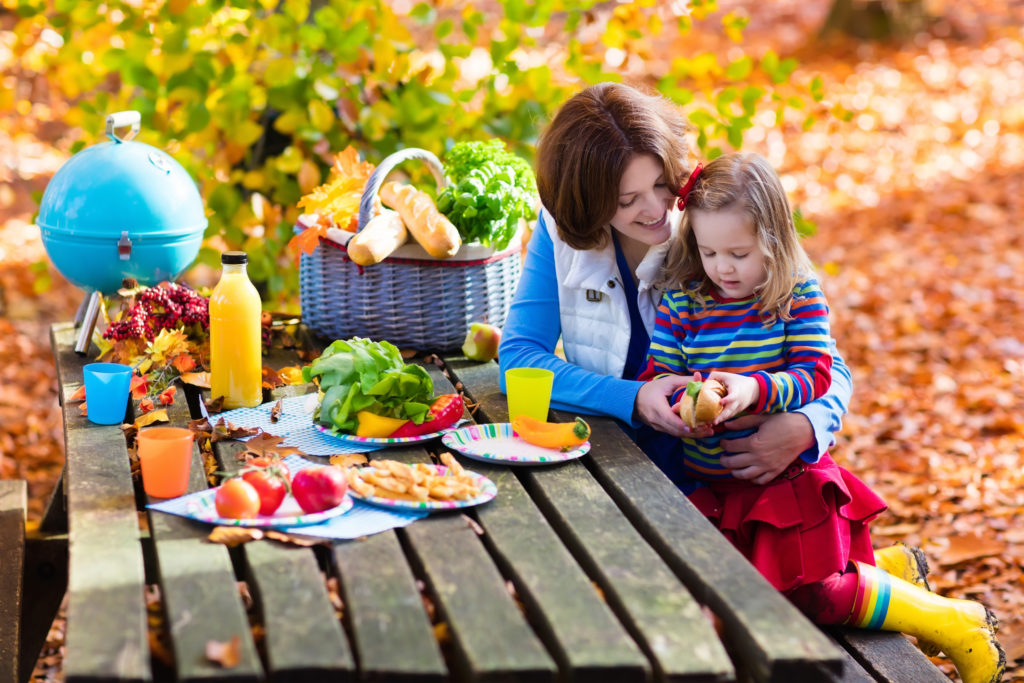 How to Start Nature Studies in Your Homeschool
