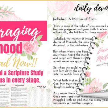 Encouraging Motherhood Devotional & Scripture Study Journal